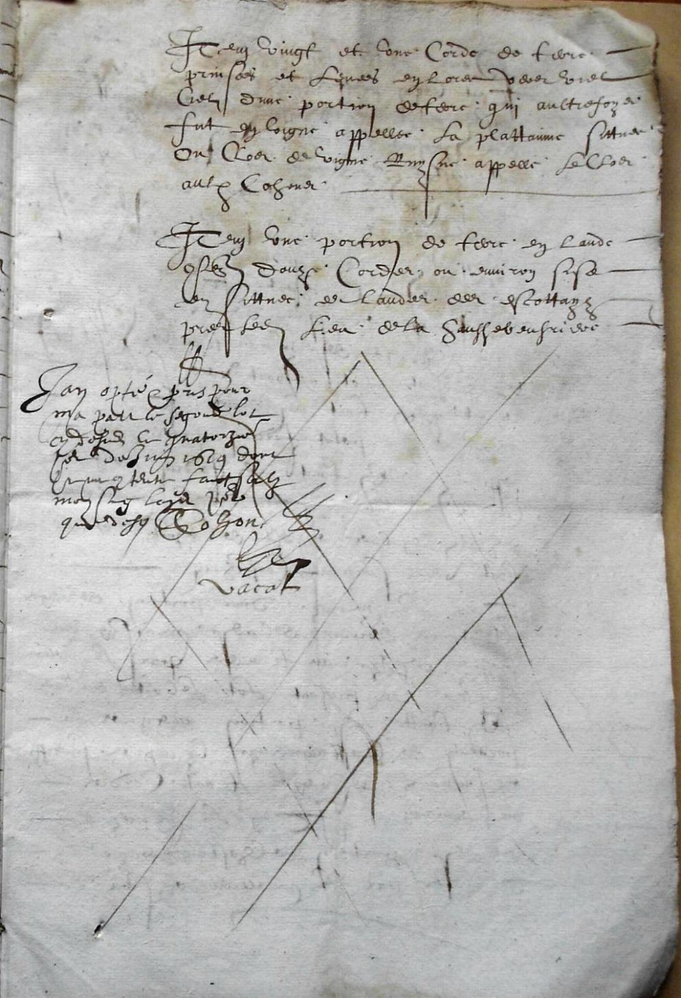 Cohon-F_1619 (7).JPG